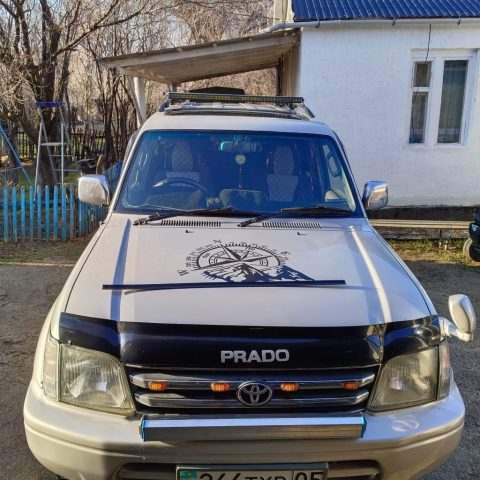 Изображение WhatsApp 2025-09-23 в 04.43.49_110c3918
