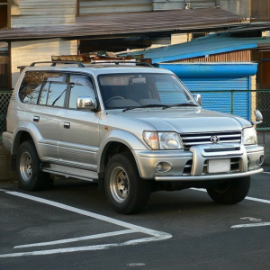 Land Cruiser Prado 95